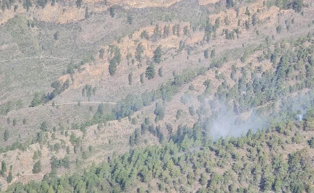 El Gobierno da por controlado el incendio forestal en Arico