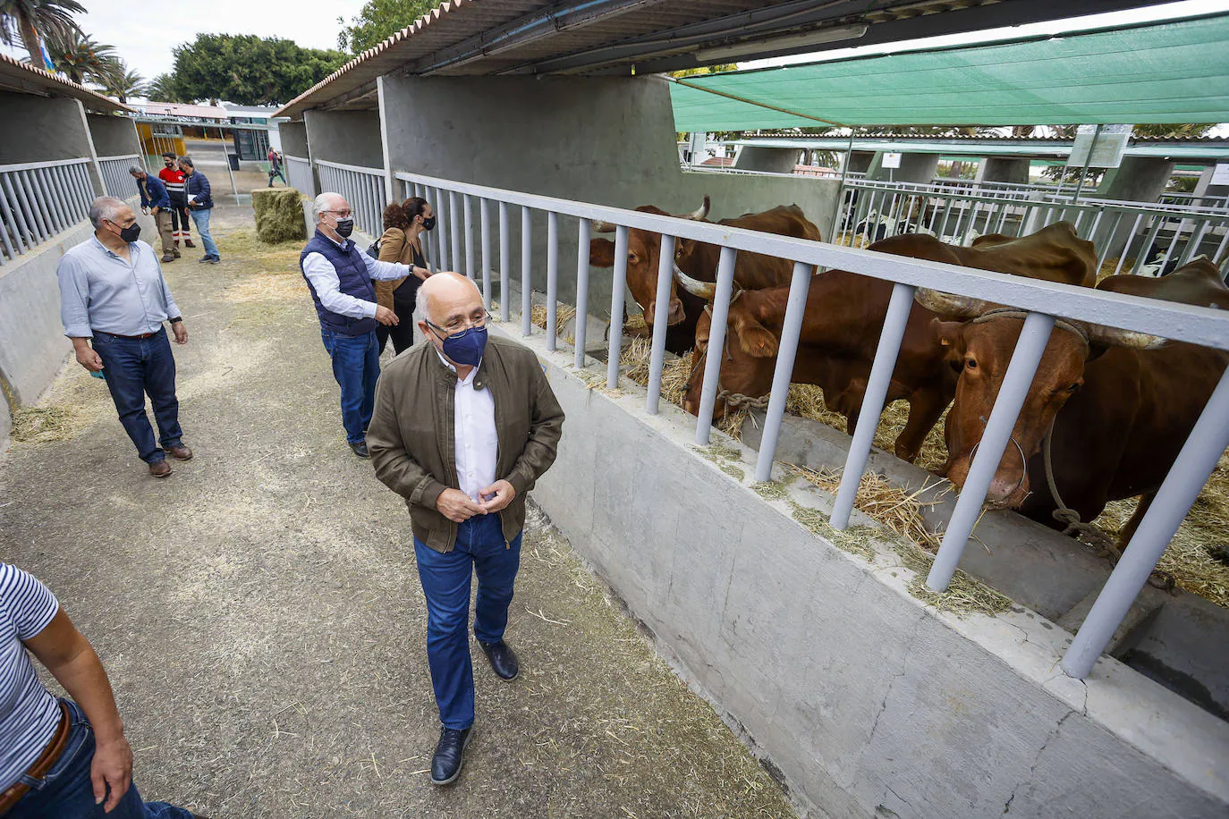 Fotos: Gran Canaria celebra la Feria de Ganado