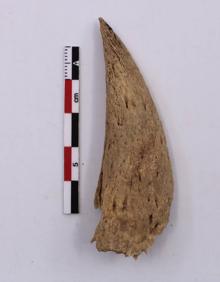 Imagen secundaria 2 - Foto superior, los arqueólogos cubren las estructuras con una malla geotextil y con piedras para su protección. Debajo, a la izquierda, vista del cantil en cuya falda están los vestigios excavados. A la derecha, escamador hecho de cuerno hallado en el enclave. 