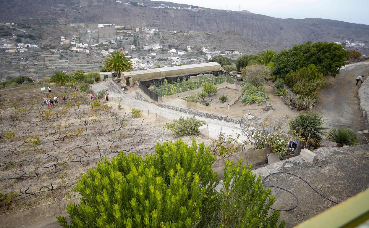 Imagen panorámica de la finca El Viso, lugar donde se celebrará la feria. 