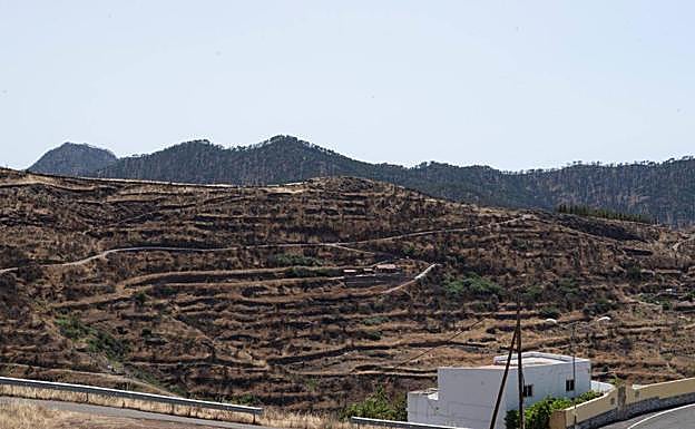 Plan de fin de semana: Juncalillo