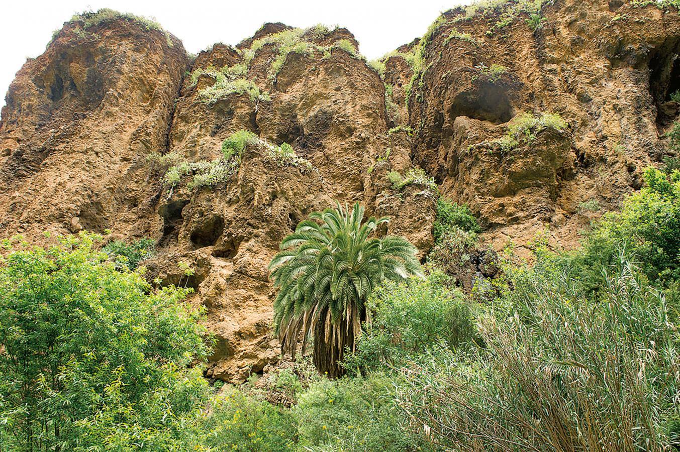 Barranco de Azuaje (Gran Canaria)