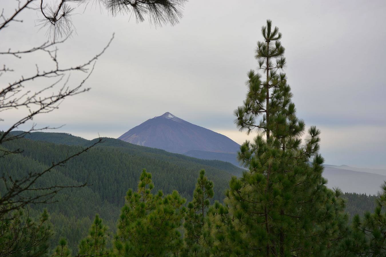 Fontanales (Gran Canaria)