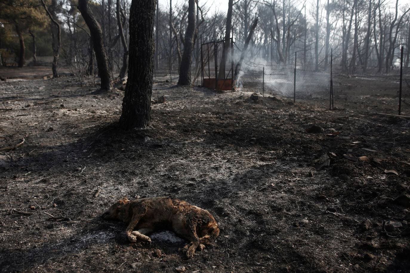 Fotos: Incendio potente en Atenas