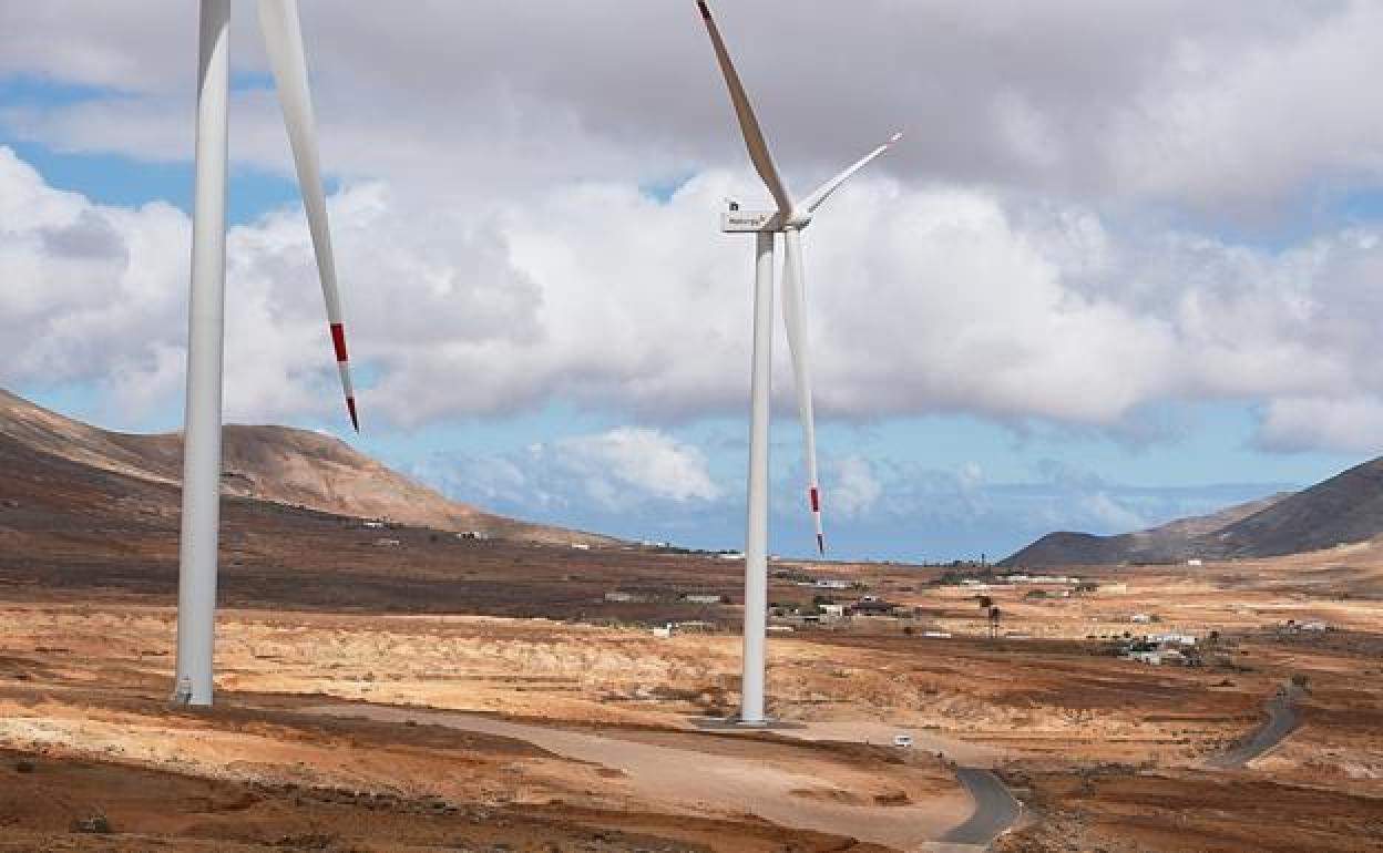 Parque eólico entre La Matilla y El Time, en el municipio de Puerto del Rosario. 