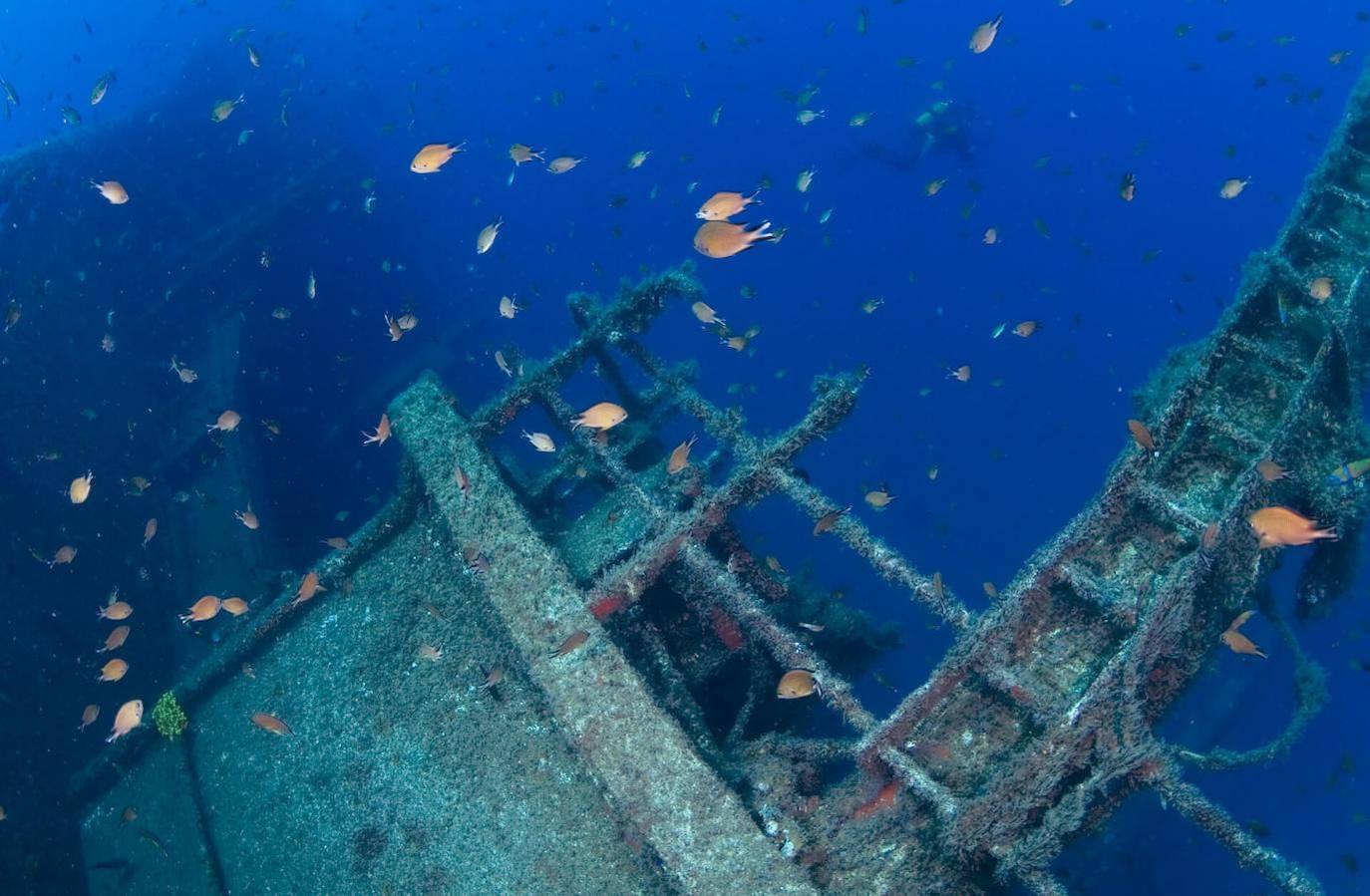 Arona (Gran Canaria)