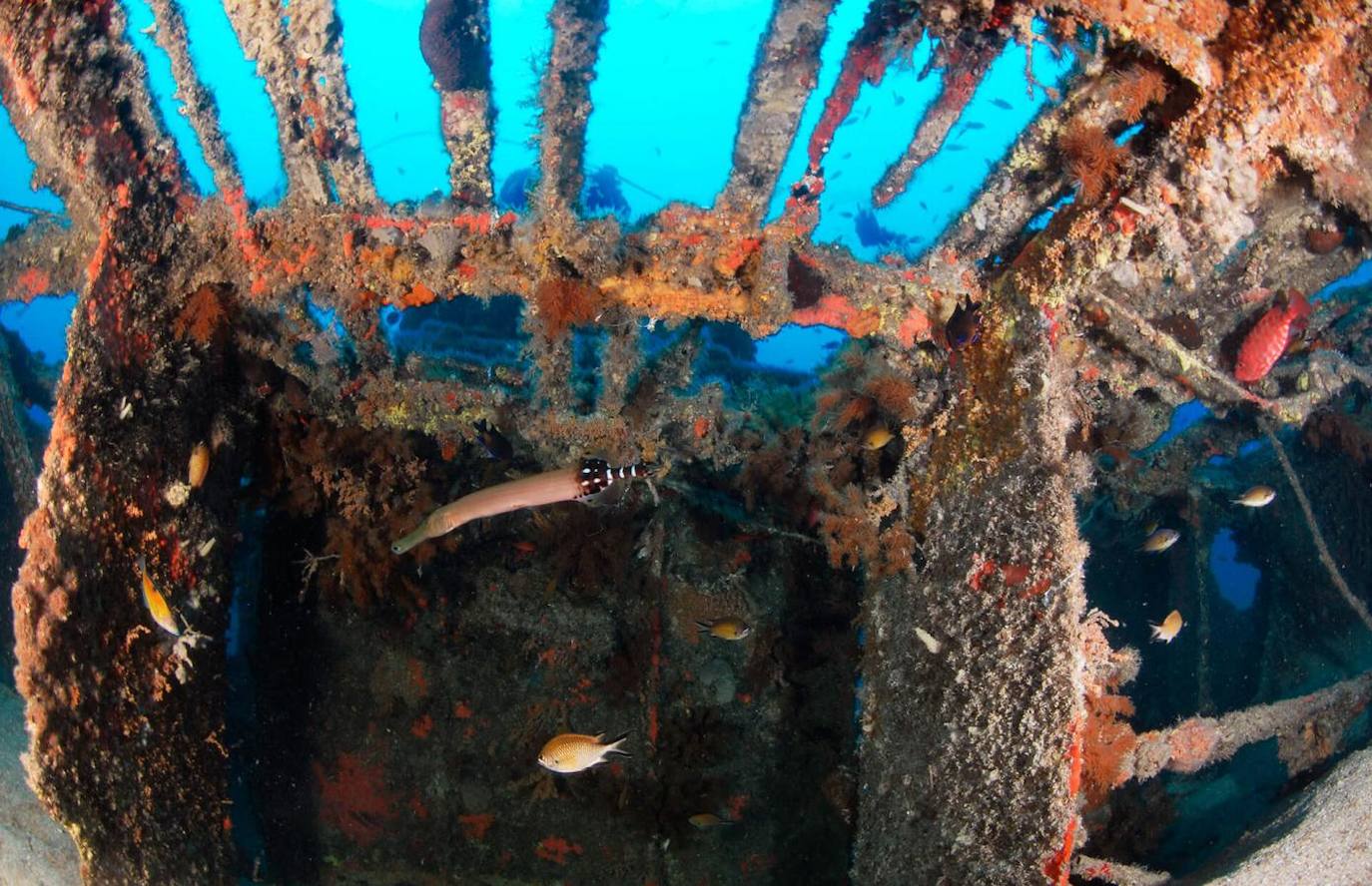 Plasencia (Gran Canaria)