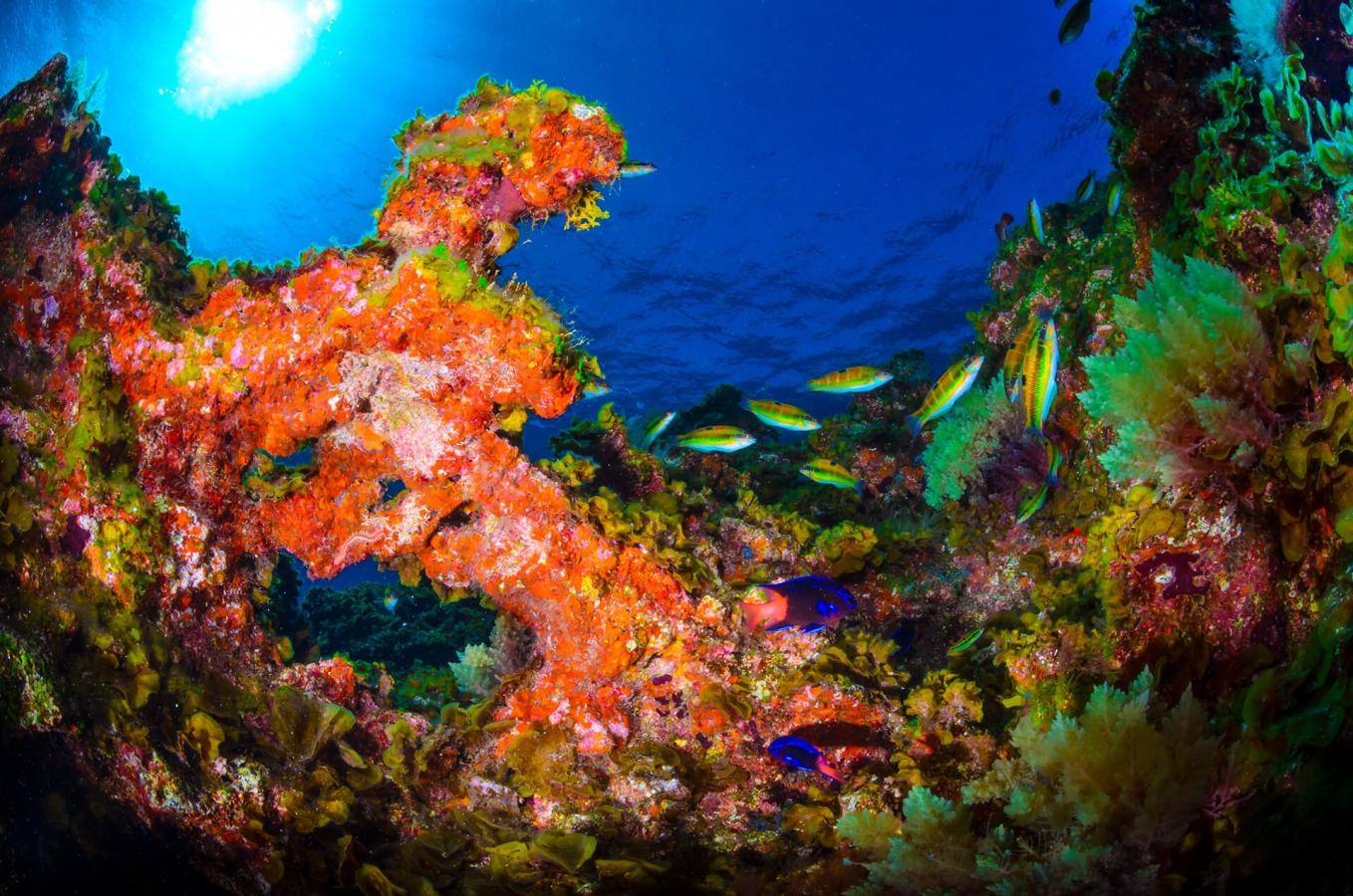 Punta de La Restinga (El Hierro)