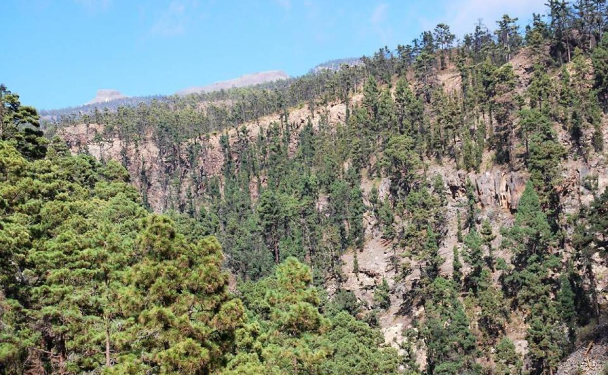 Imagen de archivo del barranco de Las Lajas en Tacoronte