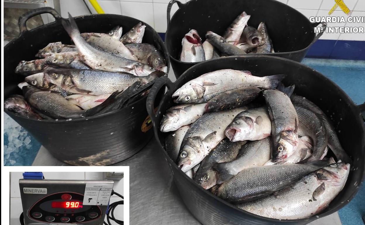 Sorprendidos con 99 kilos de lubinas de una piscifactoría en Lanzarote