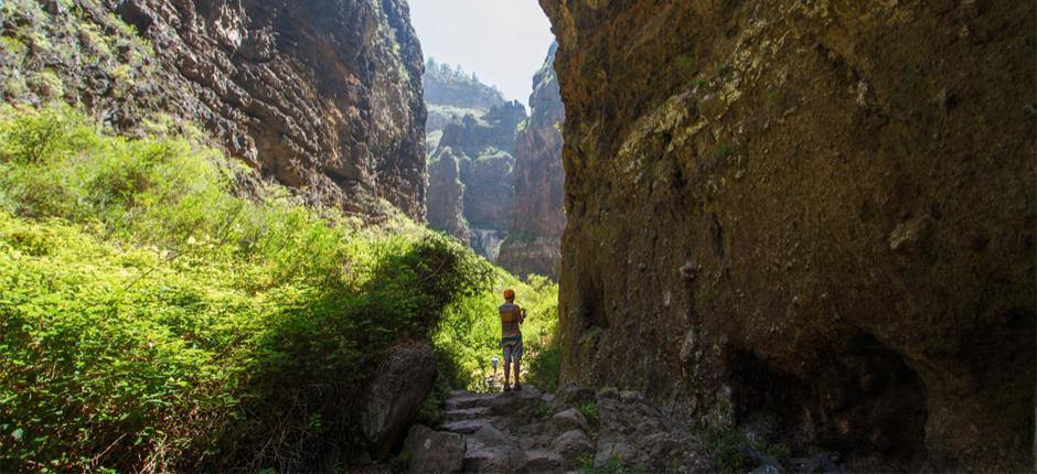 Barranco del Infierno (Tenerife)