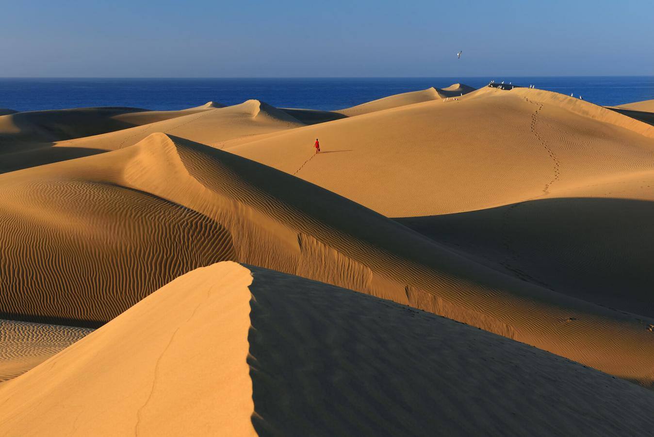 Dunas de Maspalomas (Gran Canaria)