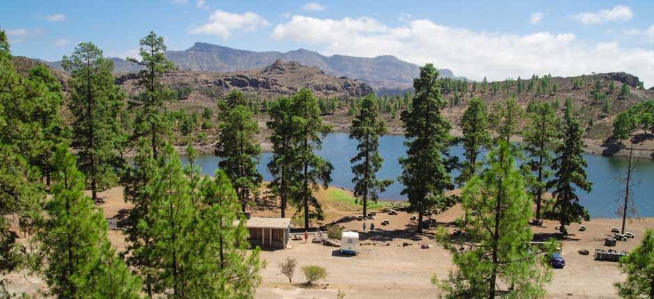 Presa de Las Niñas (Gran Canaria)