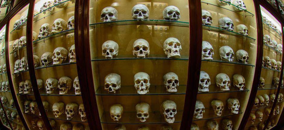 Museo Canario (Gran Canaria)