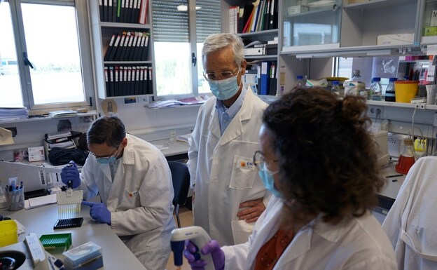 El investigador Eugenio Santos en su laboratorio del CIC. 