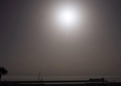 Imagen secundaria 1 - Aviso amarillo por calor en Gran Canaria para el Día del Pino