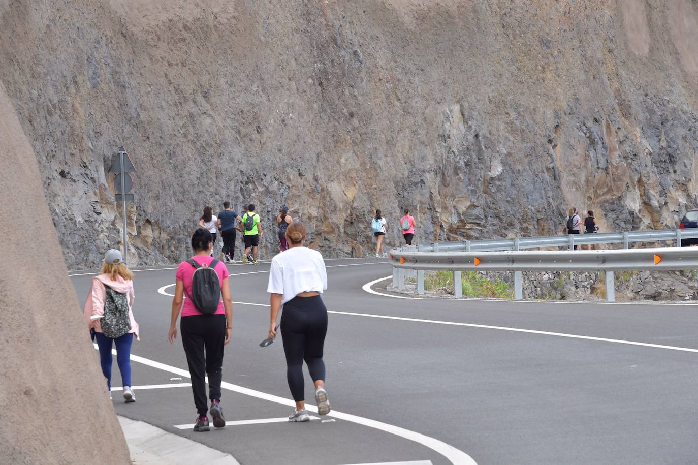 Fotos: Acto institucional del Día del Pino