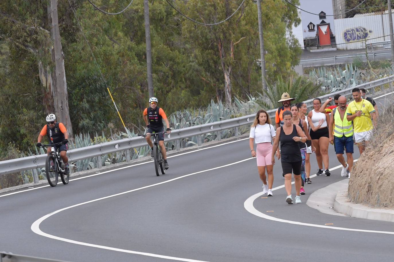 Fotos: Acto institucional del Día del Pino