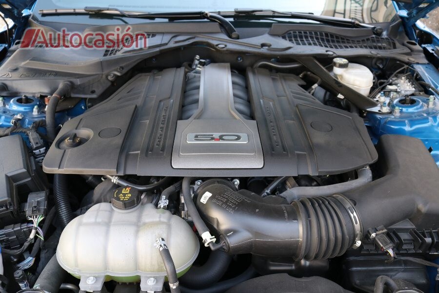 Fotos: Fotogalería: Ford Mustang Fastback GT, el icono