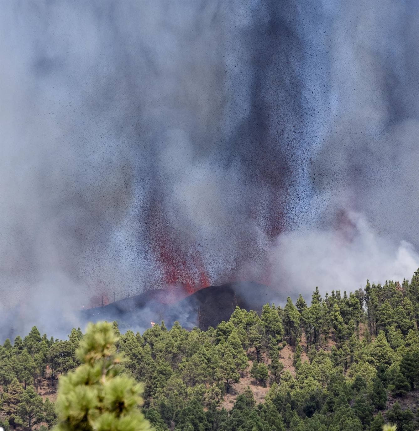 Fotos: Comienza una erupción volcánica en la Cumbre Vieja de La Palma