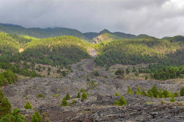 magen tomada este viernes de la colada del volcán San Juan que hizo erupción en 1949 en el edificio volcánico de Cumbre Vieja, en La Palma, en la zona donde se concentran estos días los miles de pequeños movimientos sísmicos