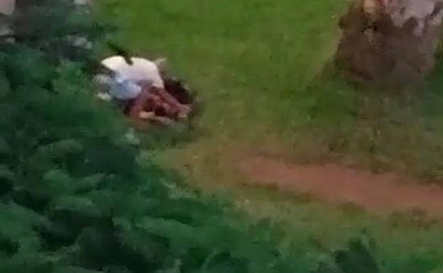 Un momento de la supuesta agresión. 