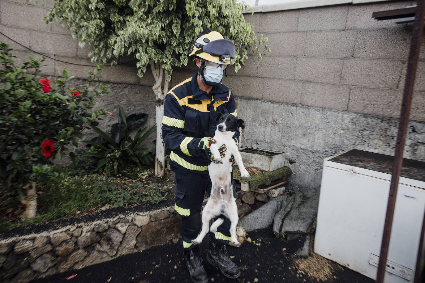 Fotos: Recogida de enseres de los vecinos desalojados en Todoque y Puerto Naos