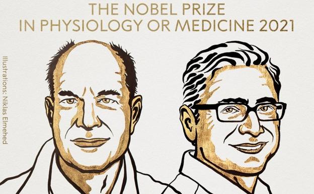 Por qué el último Nobel de Medicina y Fisiología tiene más interés del que parece