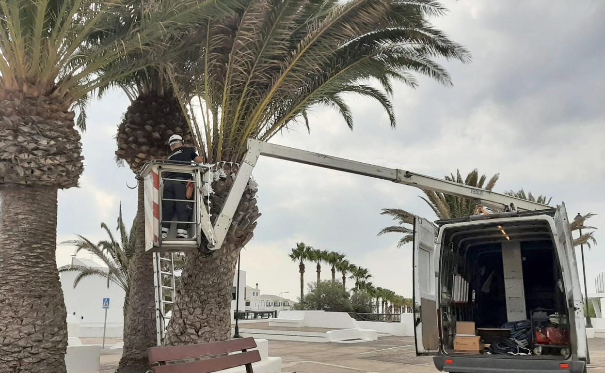 Instalación ya en marcha.