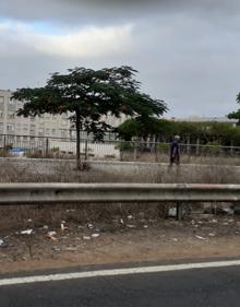 Imagen secundaria 2 - Denuncia la suciedad en los barrios de la capital grancanaria