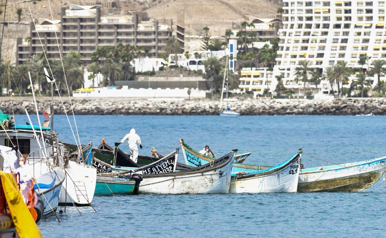 Imagen de varias pateras llegadas durante este año al sur de Gran Canaria. 