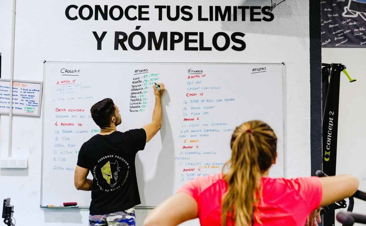 René, en su pizarra marcando la pauta a seguir. 