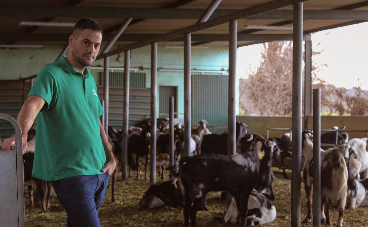 Agustín Perera, dueño de Quesos Perera, posa junto a sus cabras evacuadas por la erupción del volcán. 