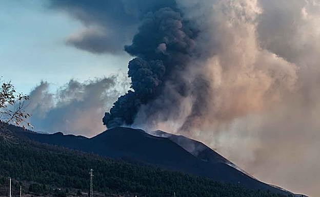 ¿Qué hacer en caso de terremoto?