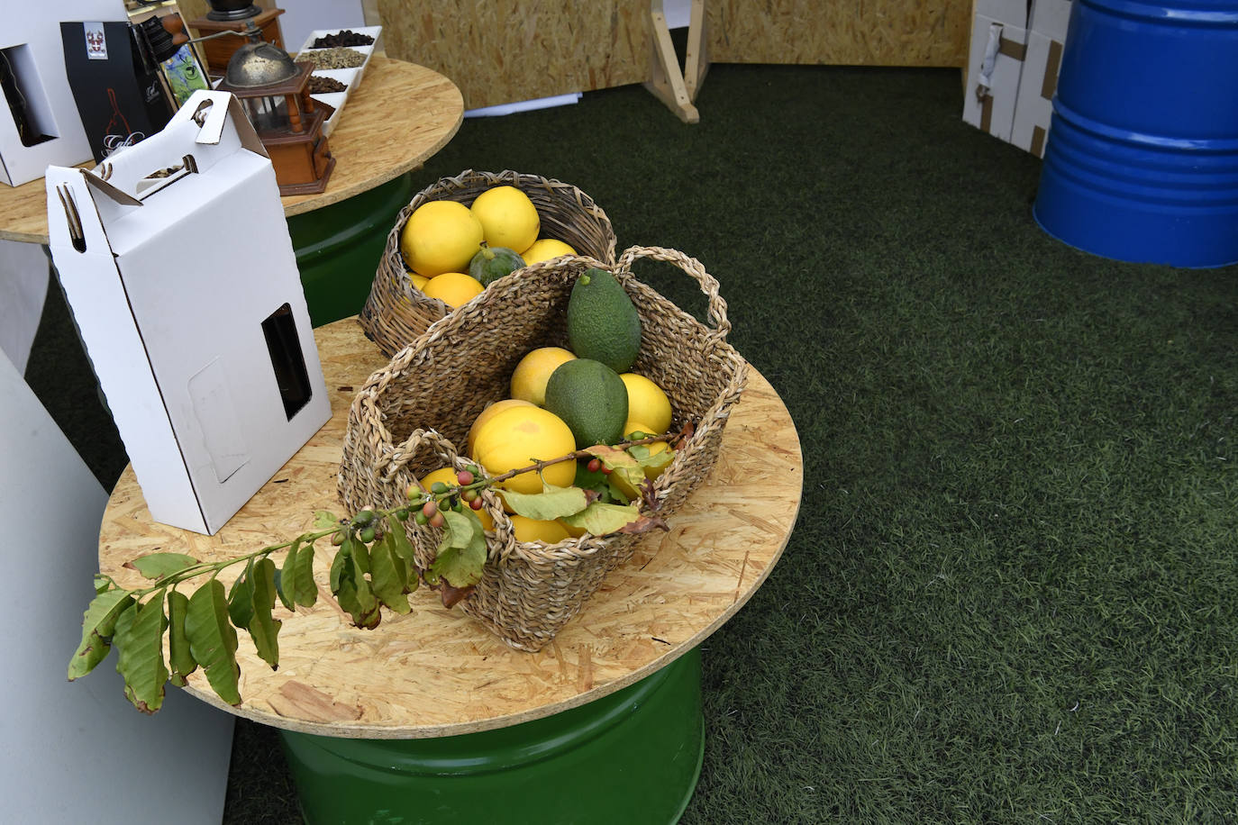Fotos: Inauguración de la feria del Norte