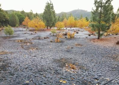 Imagen secundaria 1 - La cumbre grancanaria amanece helada