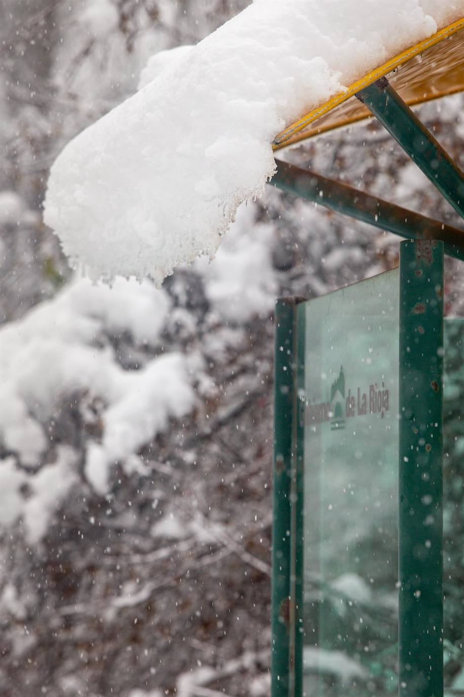 Fotos: Activan alerta por nieve en 7 provincias