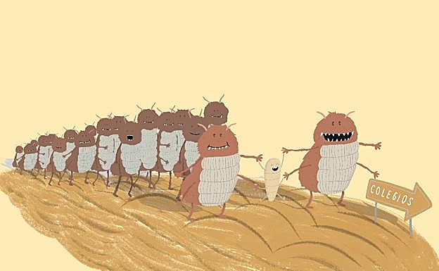 Remedios contra piojos, ¿caseros, de farmacia, ambos?