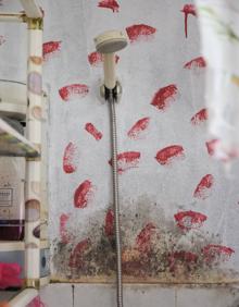 Imagen secundaria 2 - Los vecinos afectados denuncian filtraciones y malos olores. 