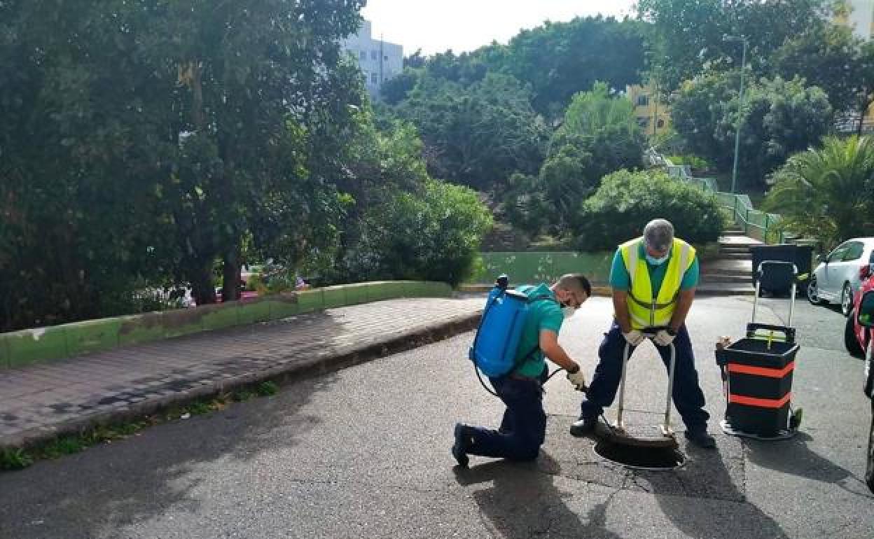 Operarios municipales durante la actuación. 