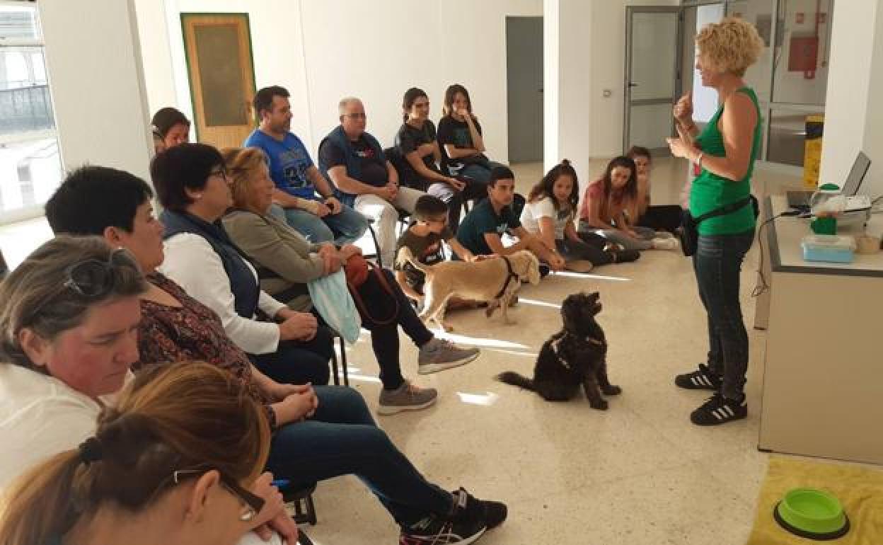La edil ha sido la responsable de Protección Animal y de Participación Ciudadana, entre otras. 