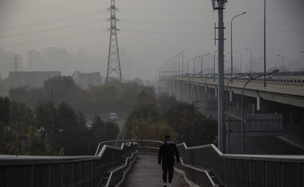 PM2,5: la otra clave de las muertes prematuras por el aire de ciudad 