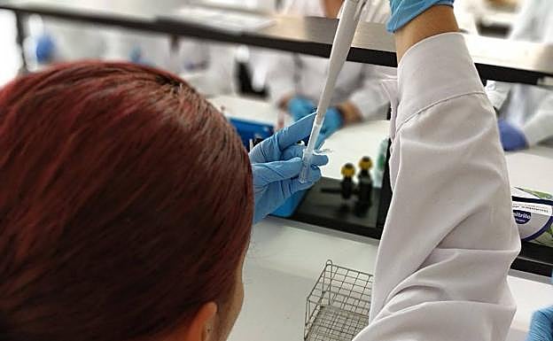 Una estudiante de FP realiza prácticas en un laboratorio