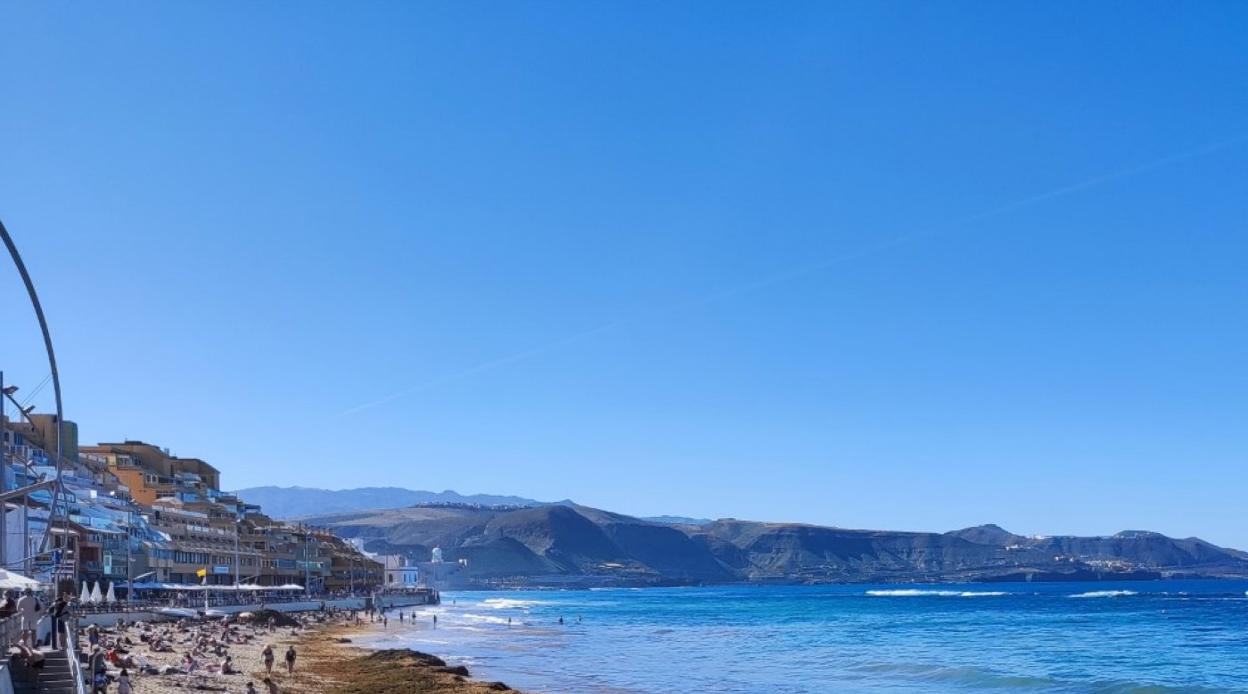 Acumulación de algas pardas en la playa capitalina en los últimos días del 2021. 