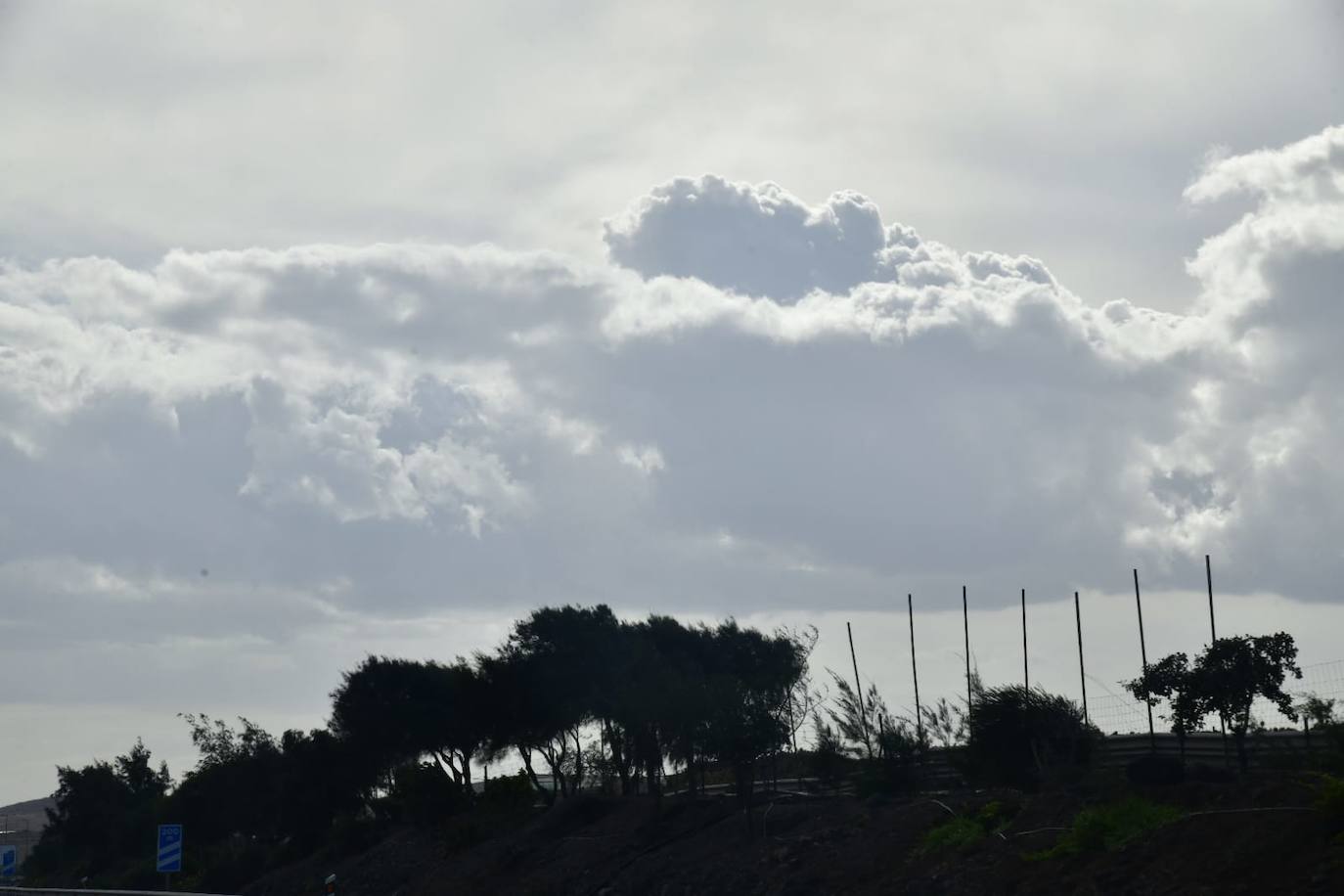 Fotos: La DANA riega el norte de Gran Canaria