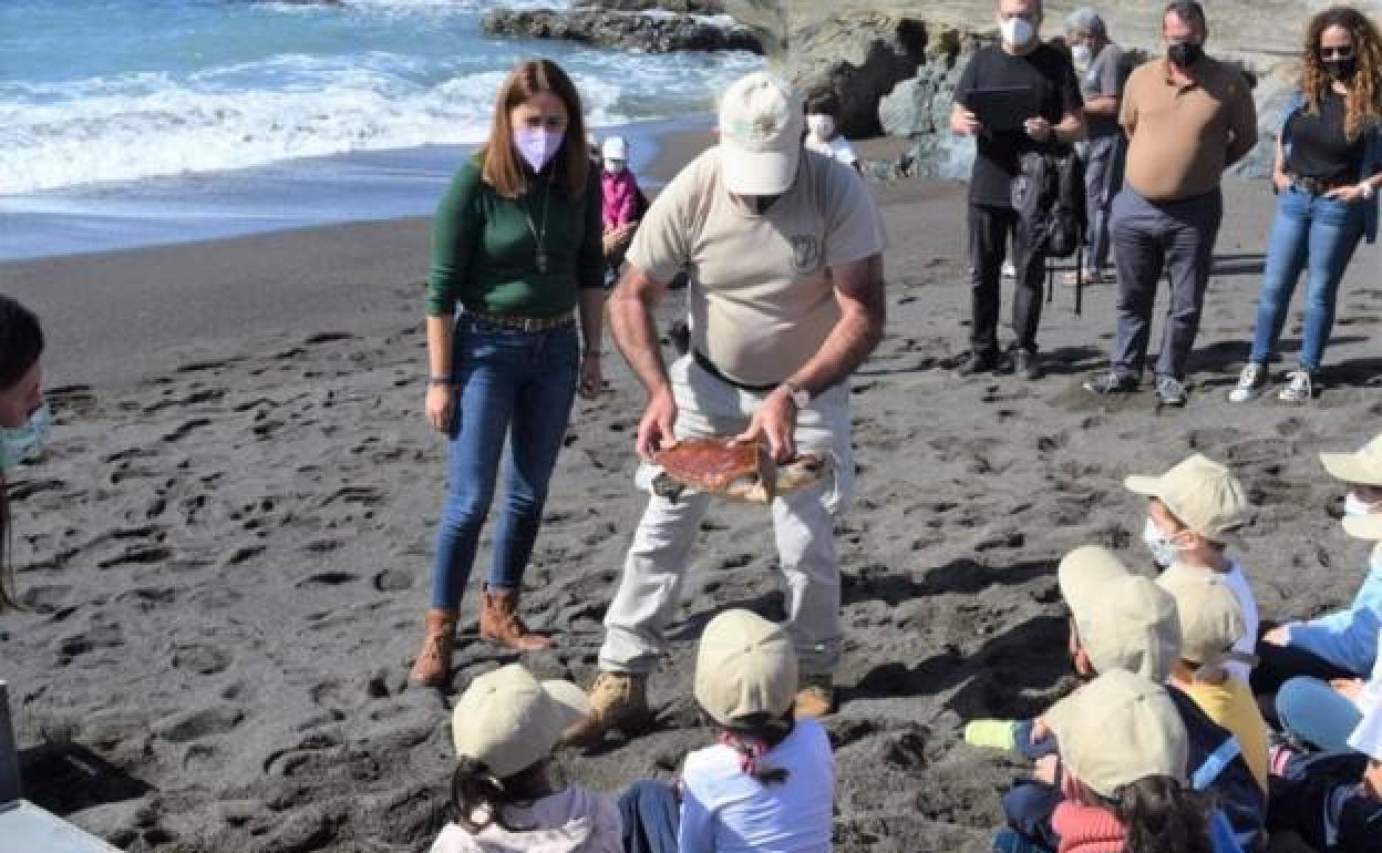 Liberan tres ejemplares de tortuga boba en Ajuy, Fuerteventura