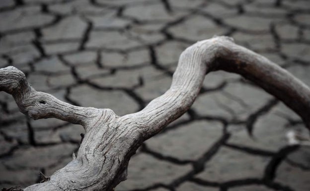El cambio climático mató a 16.181 españoles en los últimos 40 años