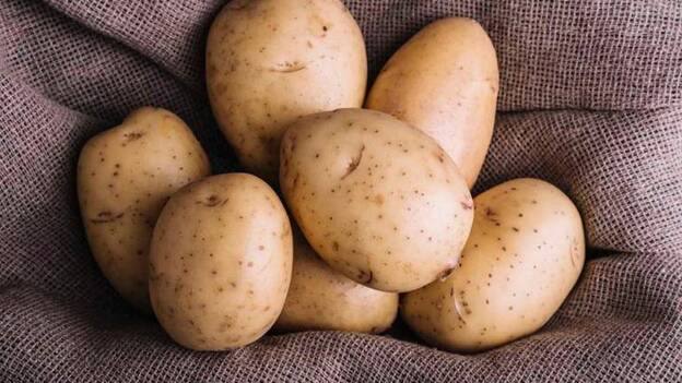 La Consejería de Agricultura convoca las ayudas a la papa de mesa