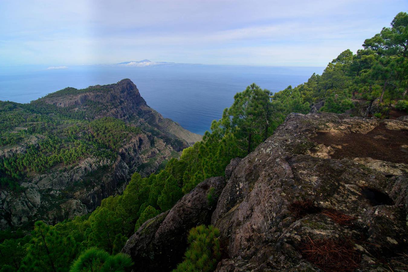 Tamadaba (Gran Canaria)