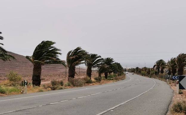 Imagen de un episodio de vientos fuertes en Gran Canaria. 